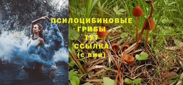 прущая мука Богородск