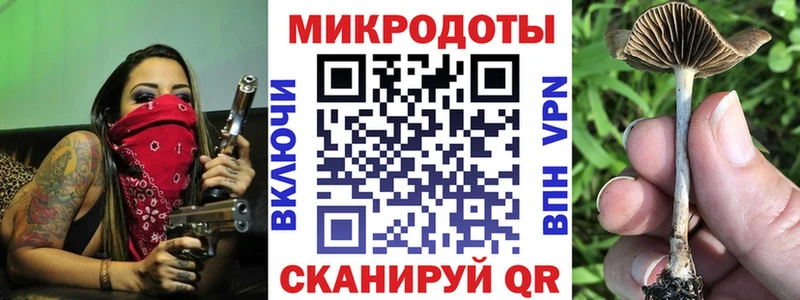 Галлюциногенные грибы Psilocybe  Кузнецк 