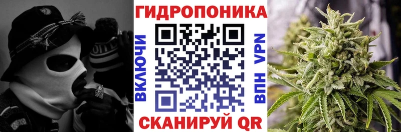 Конопля семена  что такое наркотик  Кузнецк 